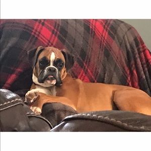 Meet your Posher, Naomi